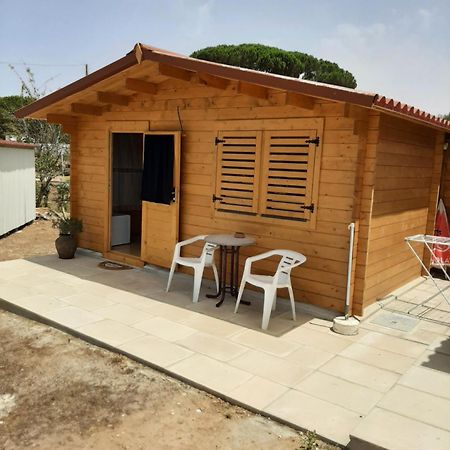 Hotel Quinta Do Pinheiro à Grândola Extérieur photo